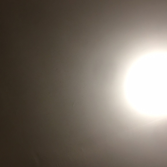 Meet your Posher, Zharyah - Picture 1 of 1